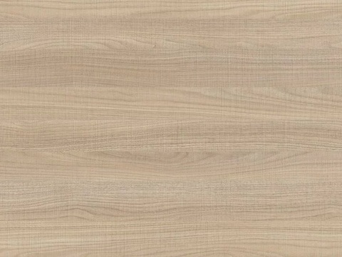 Fraxinus mandshurica wood grain