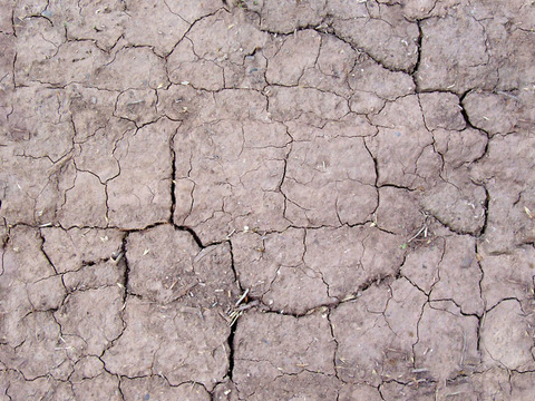 Seamless Arid Cracked Soil Ground Road