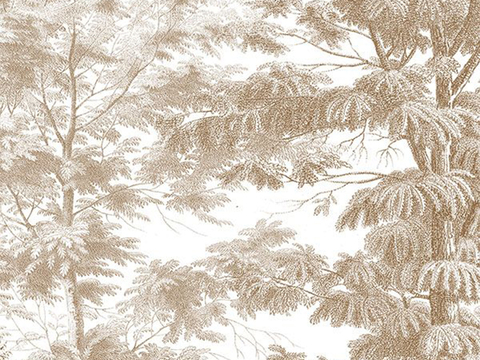 Tropical Rainforest Mural Wallpaper