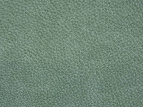 Green leather