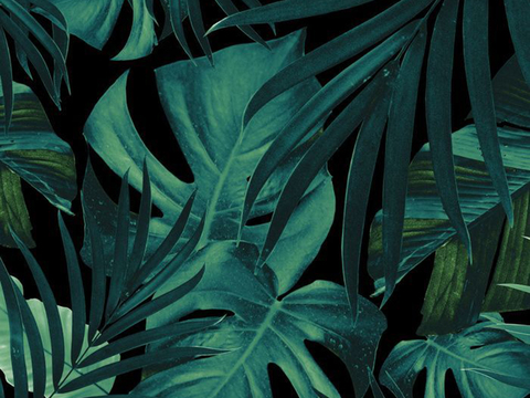 Plant print wallpaper