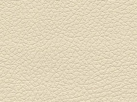 beige leather