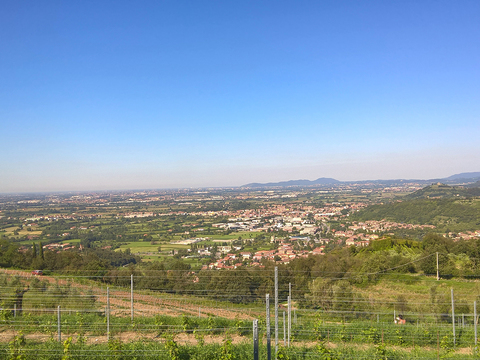 Rural landscape landscape