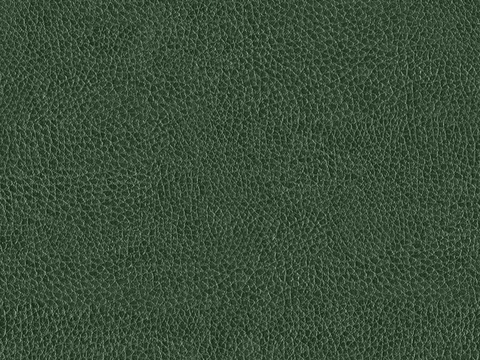 Seamless Green Coarse-Grained Leather