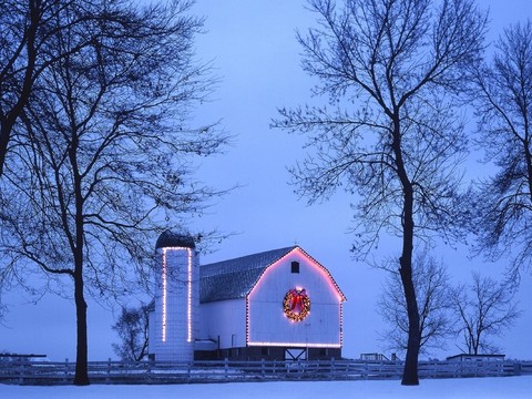 Outdoor snow