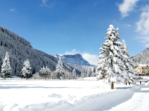 Snow in winter country landscape scenery