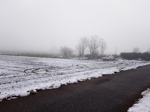 Snow in winter country landscape scenery