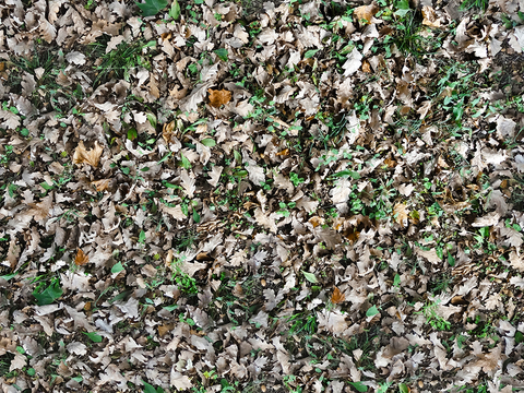 Seamless litter turf lawn ground