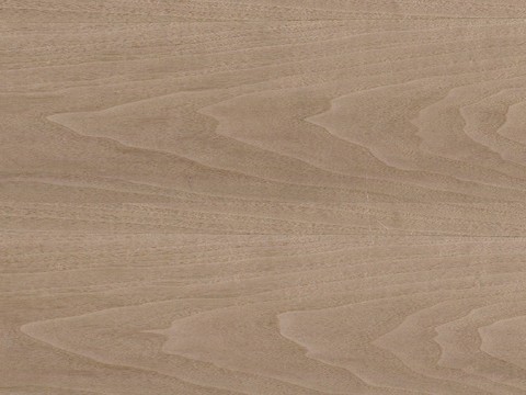 Teak Wood Grain