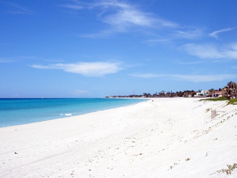 Seaside Scenery