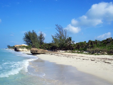 Seaside Scenery