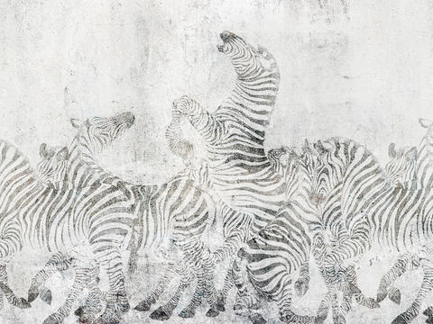 gray zebra animal wallpaper