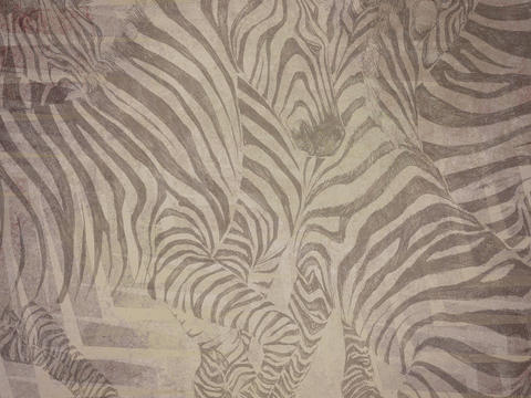 brown zebra animal wallpaper