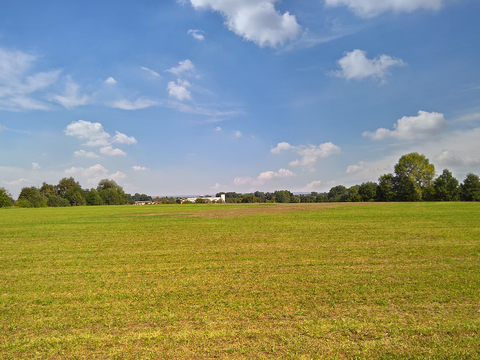 Rural landscape landscape