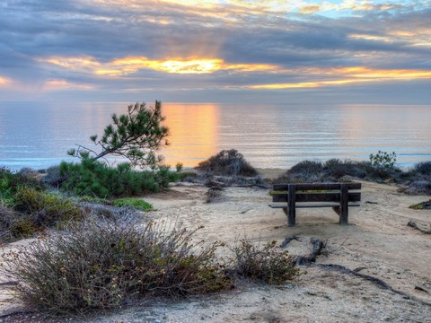 Seaside Scenery