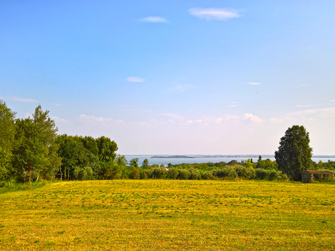 Rural landscape landscape