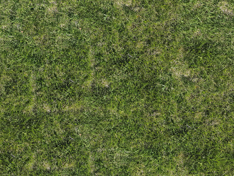 HD Seamless Natural Grass Turf Grass Slope Green Space