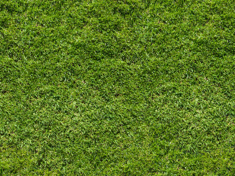 HD Seamless Natural Grass Turf Grass Slope Green Space