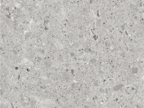 Gray large grain stone terrazzo 3644