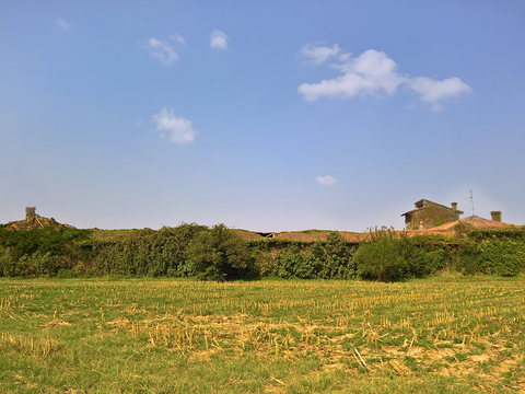 Rural landscape landscape