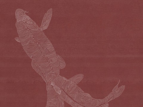 Chinese Koi Wallpaper