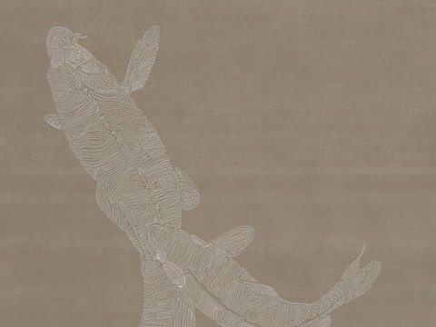 Chinese Koi Wallpaper