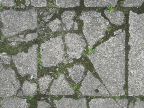 Outdoor floor tile