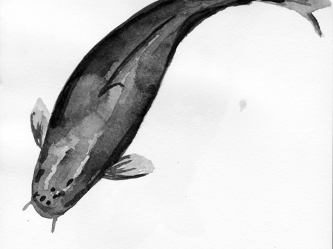 Animal ink wash fish