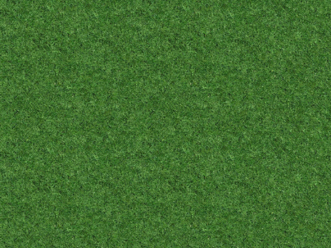 Seamless Green Lawn