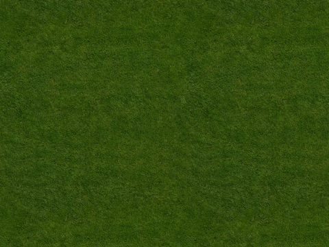 Seamless green lawn ground