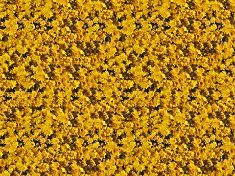 Seamless yellow flower flower wall vegetation