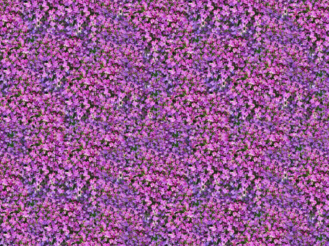 Seamless purple flower vegetation wall