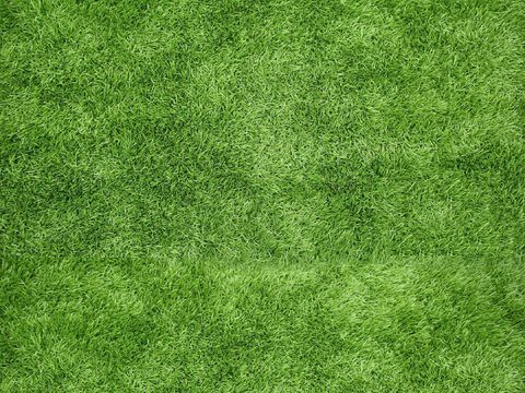 Seamless Green Lawn