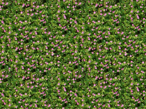 Seamless pink flower vegetation wall