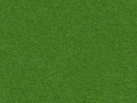 Seamless Green Lawn