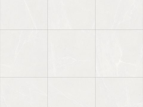 White Tile 1746