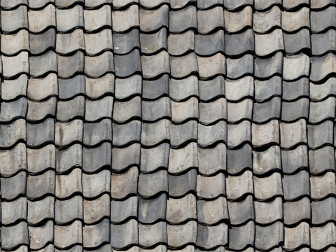 Gray tile roof cyan tile