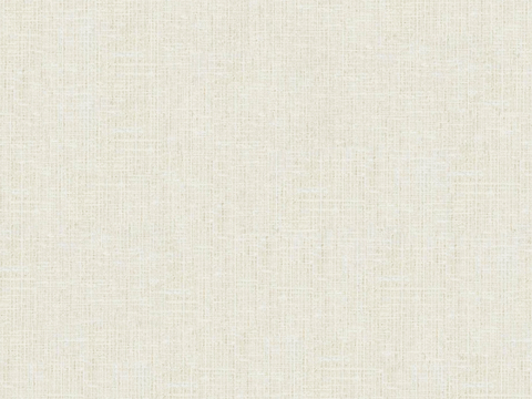 Seamless Beige Silk