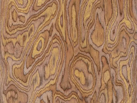 Technology wood dyed wood skin