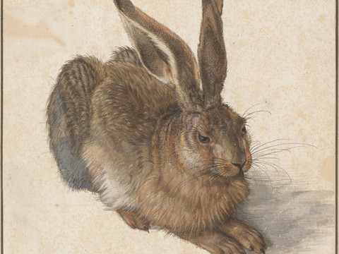 World-class master works rabbit sketch painting works