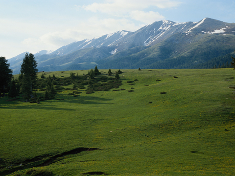 Outdoor Natural Scenery Mountain Lawn Grass