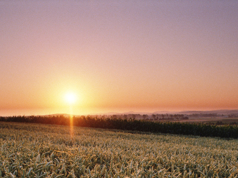 Dusk Sunset Sunset Sky