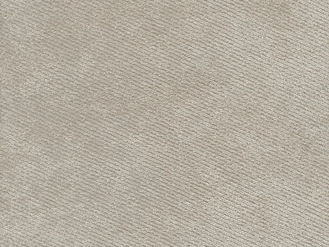 Beige Silky Solid Color Carpet