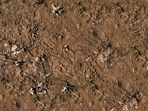 Seamless yellow wet dirt road ground