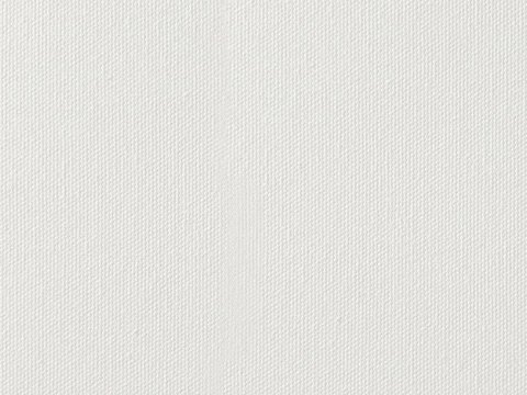 Seamless Milk White Art Texture Paint Wall