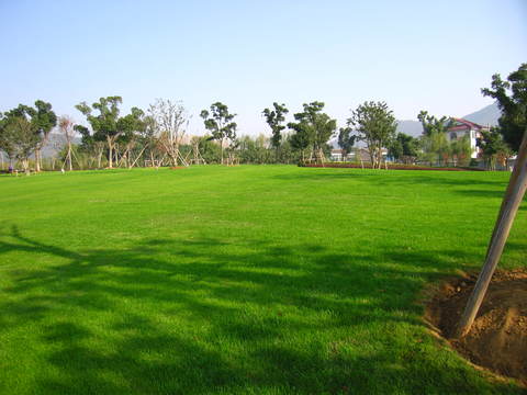 Outdoor Park Lawn Blue Sky White Clouds Exterior