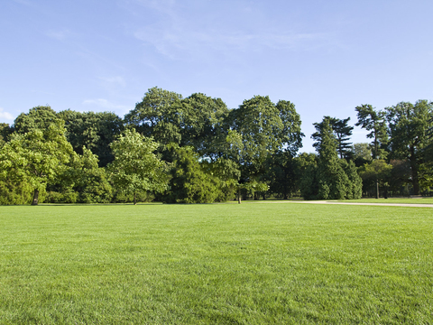 Daytime outdoor scenery