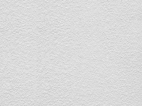 White Texture Paint Wall Coating