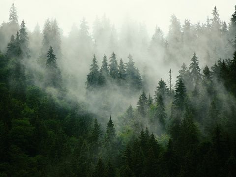 Cloud Forest Exterior_Landscape Landscape Chinese Exterior_Mountain Cloud Exterior