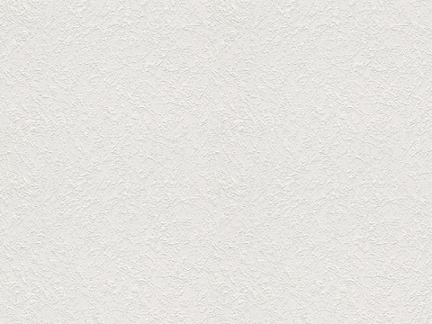 White Wall Texture Paint